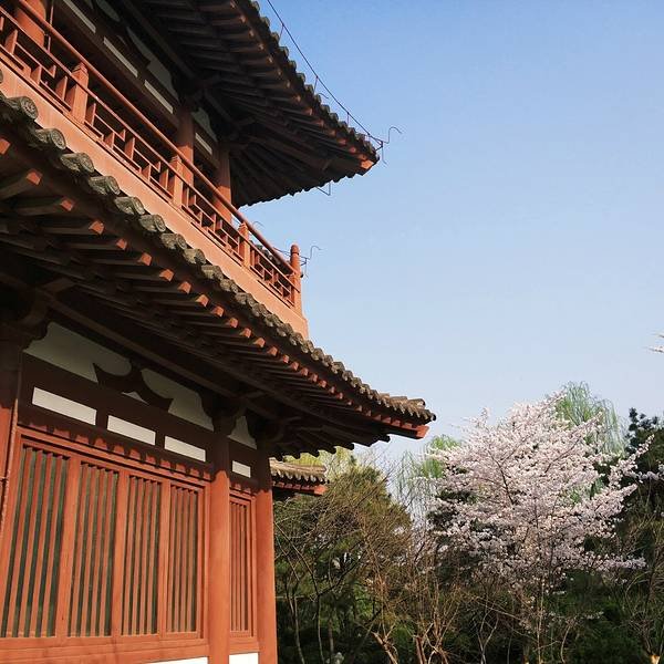 青龙寺 - 图片1