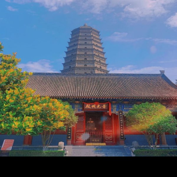 大兴善寺 - 图片3