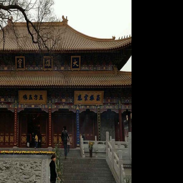 大兴善寺 - 图片7