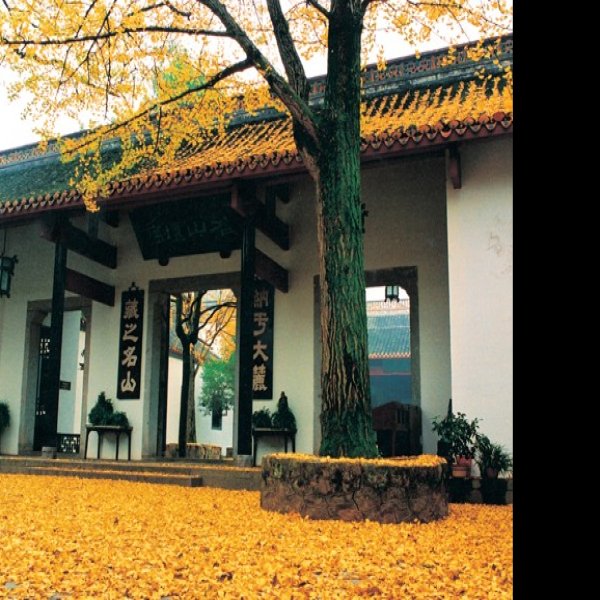 湖南长沙岳麓书院 - 图片4