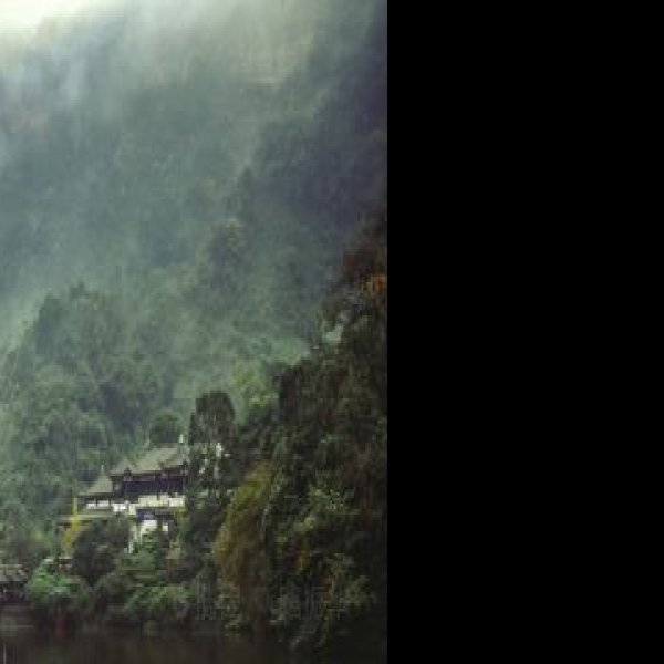 青城山古常道观 - 图片8