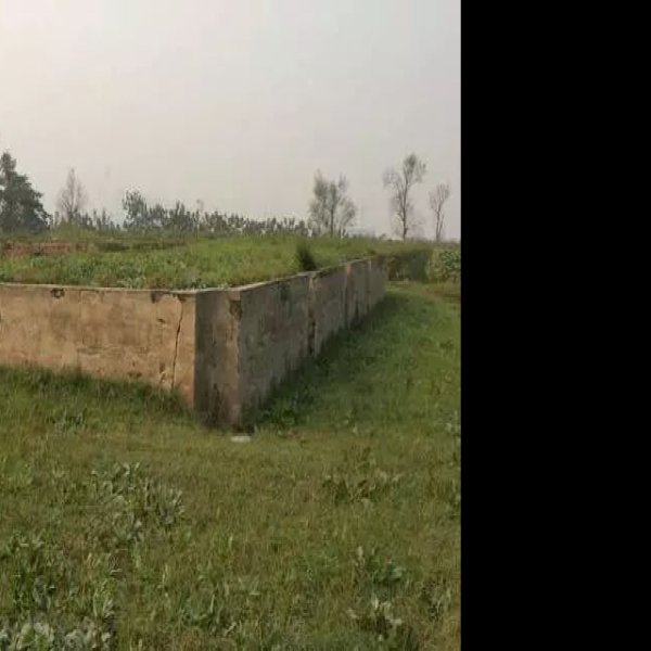 麟德殿遗址 - 图片4