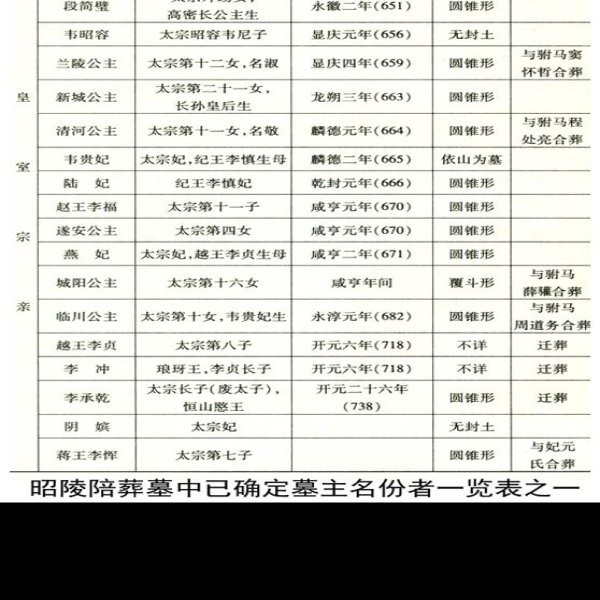 唐昭陵陪葬墓群 - 图片2