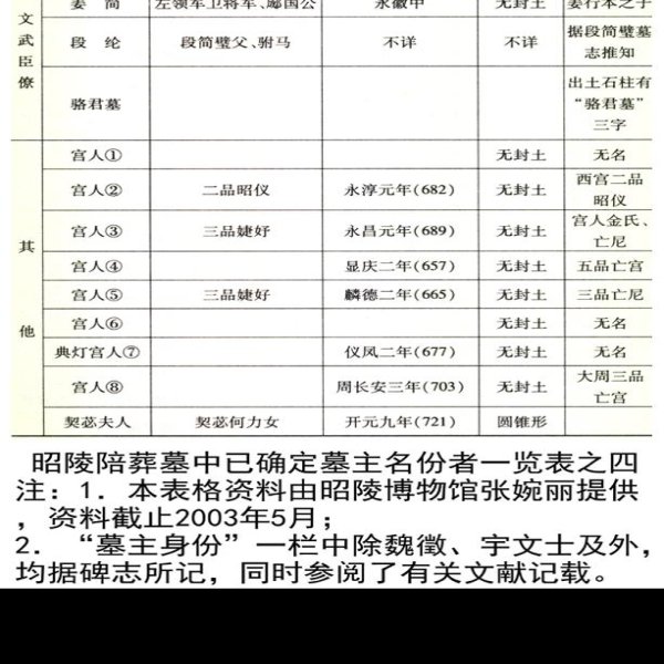 唐昭陵陪葬墓群 - 图片3