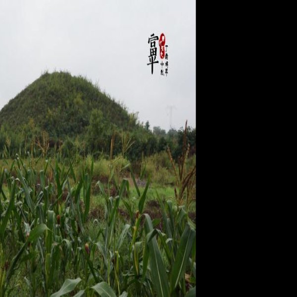 唐乾陵陪葬墓群 - 图片4