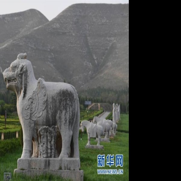 唐桥陵 - 图片5