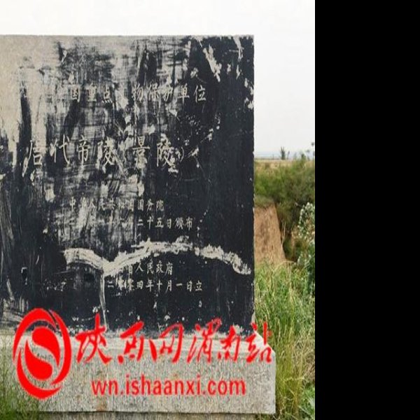 唐景陵 - 图片3