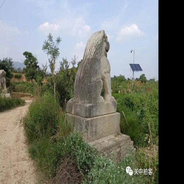 唐景陵 - 图片5
