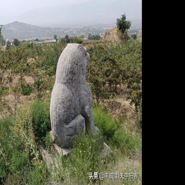 唐景陵 - 图片7