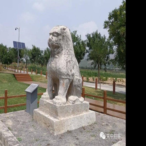 唐景陵 - 图片8