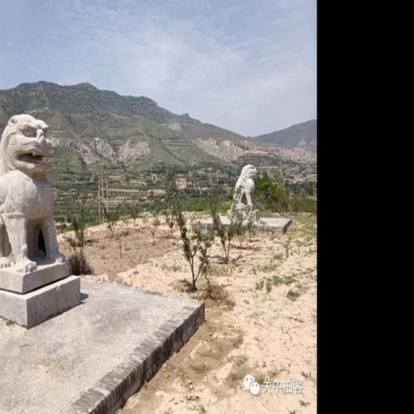 唐光陵 - 图片2