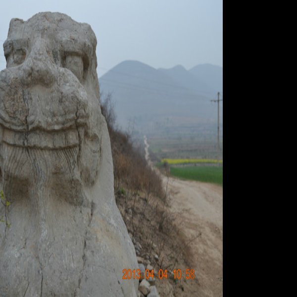 唐光陵 - 图片6