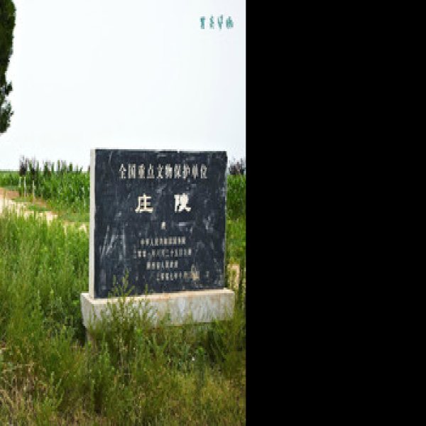 唐庄陵 - 图片9