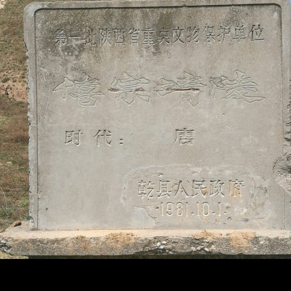 唐靖陵 - 图片5