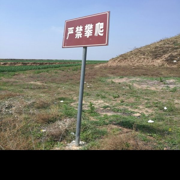 唐靖陵 - 图片8