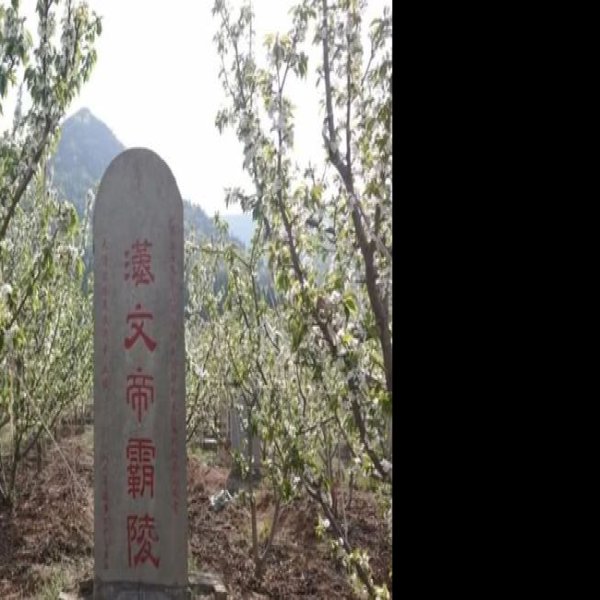 汉霸陵 - 图片4