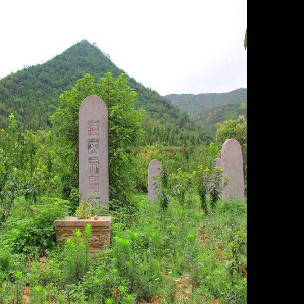 汉霸陵 - 图片9
