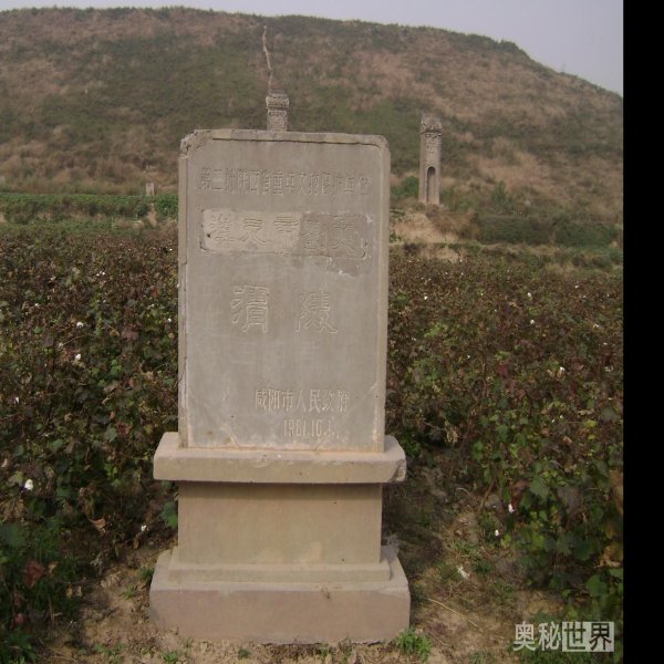 汉渭陵 - 图片2