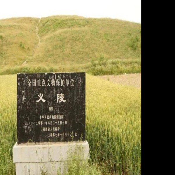 汉义陵 - 图片5