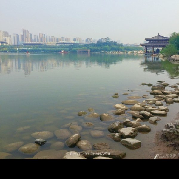 唐曲江池遗址 - 图片1