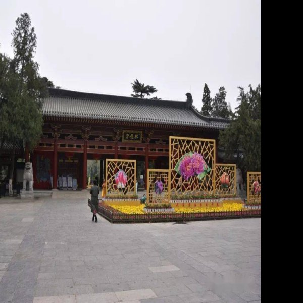 唐兴庆宫 - 图片5