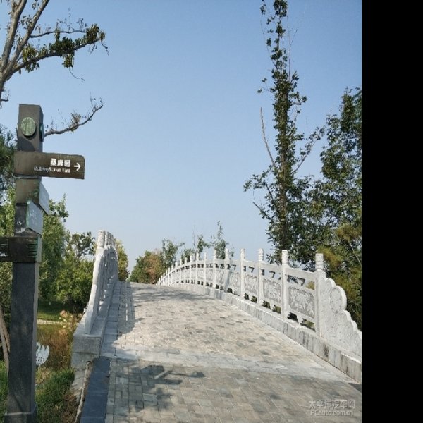 襄陵故城 - 图片3