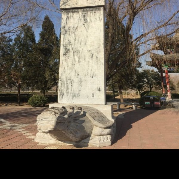 蒲津渡遗址与黄河大铁牛 - 图片8