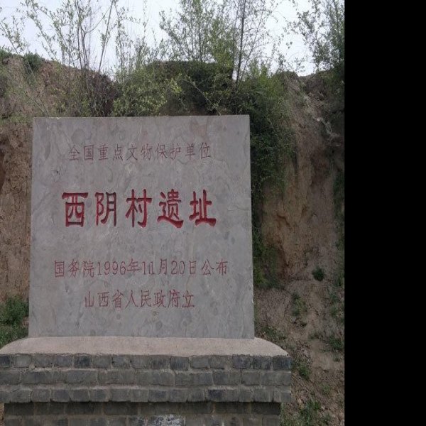 义棠遗址 - 图片7