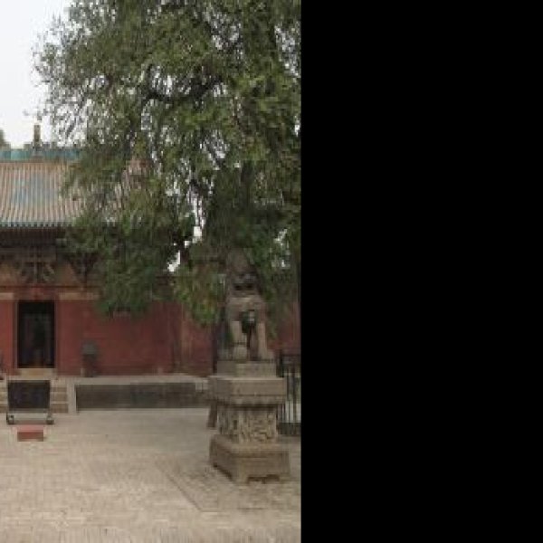镇国寺 - 图片7