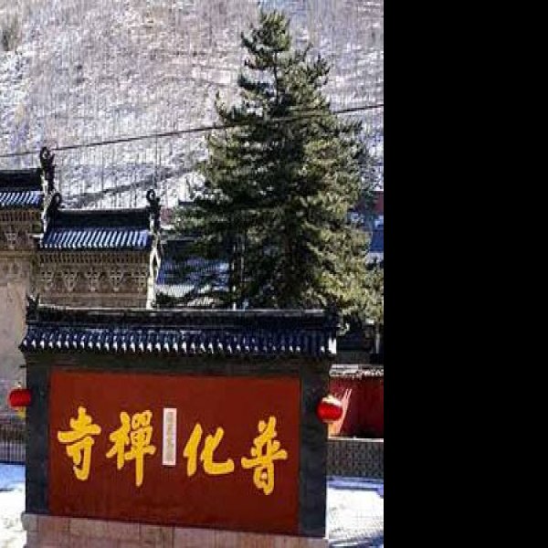 普化寺 - 图片1