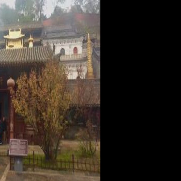 五台山文殊寺 - 图片7