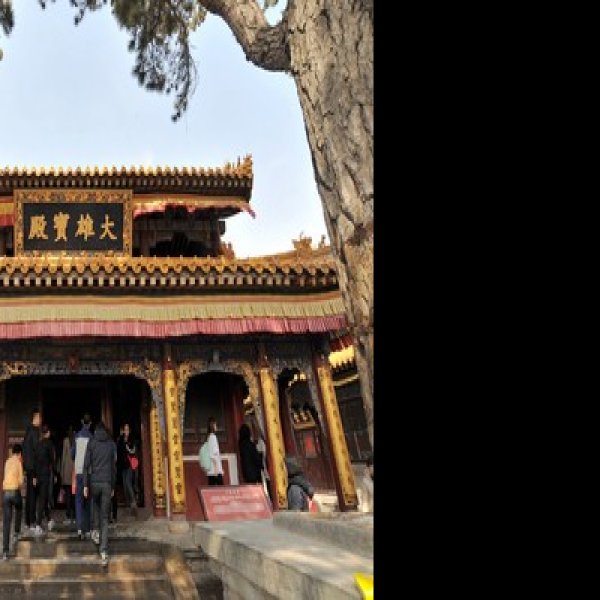 五台山文殊寺 - 图片8