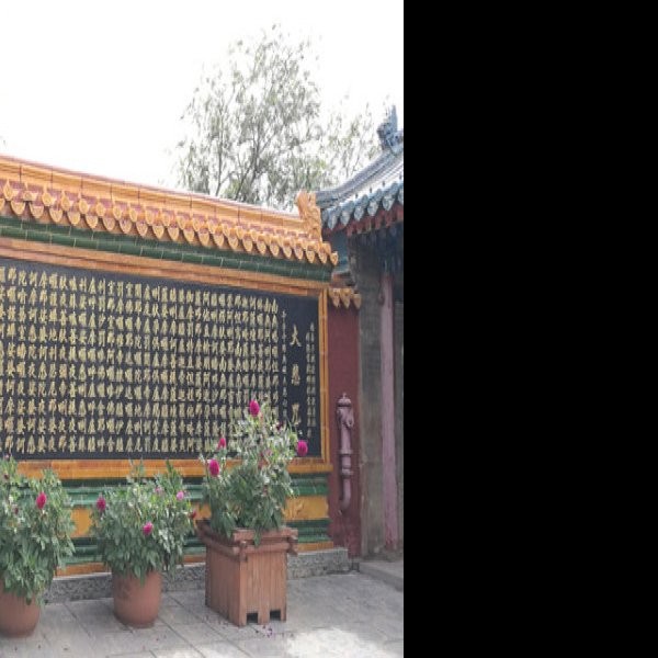 五台山普乐寺 - 图片8
