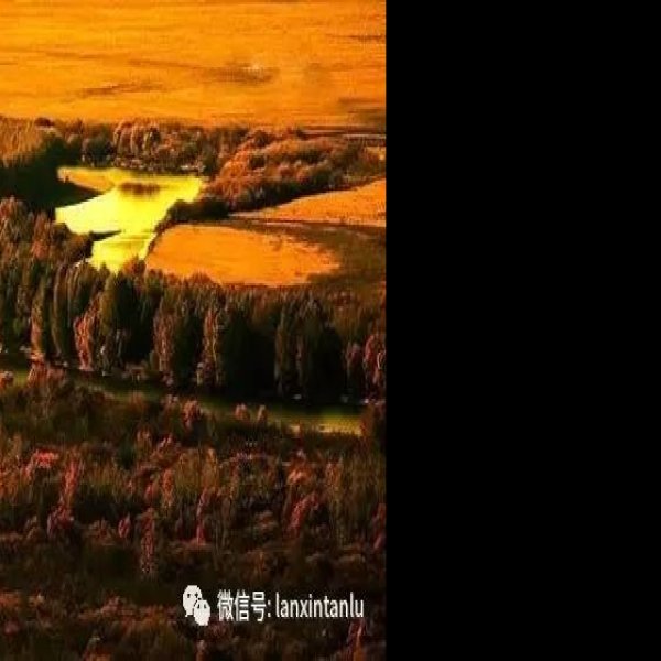 内蒙古呼伦贝尔额尔古纳 - 图片5