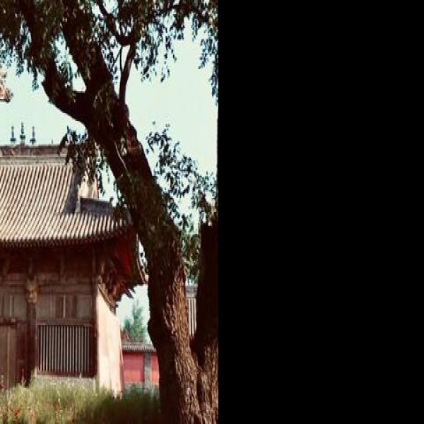 五台山药师寺 - 图片5