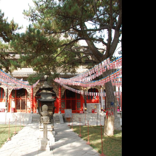 五台山地藏寺 - 图片9