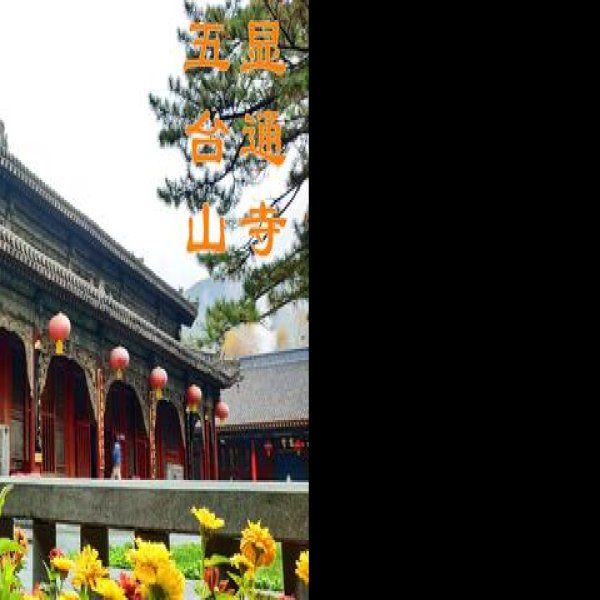 五台山观音寺 - 图片4