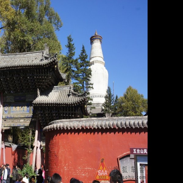 五台山镇海寺 - 图片10