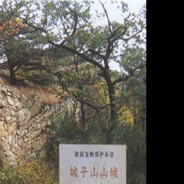 城子山遗址 - 图片4