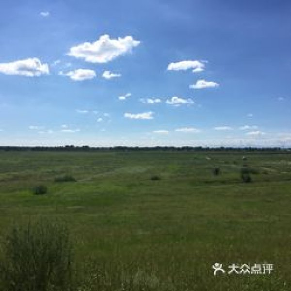 和林格尔土城子遗址 - 图片10