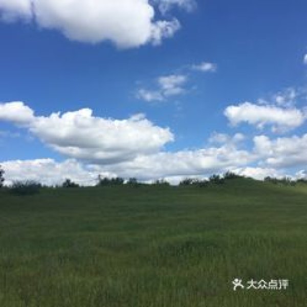 和林格尔土城子遗址 - 图片2