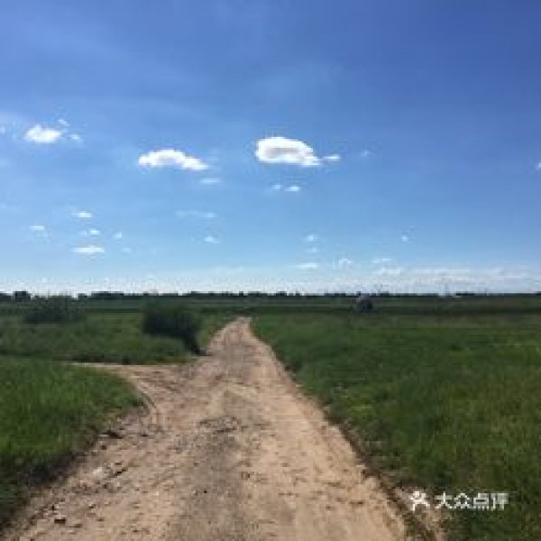 和林格尔土城子遗址 - 图片3