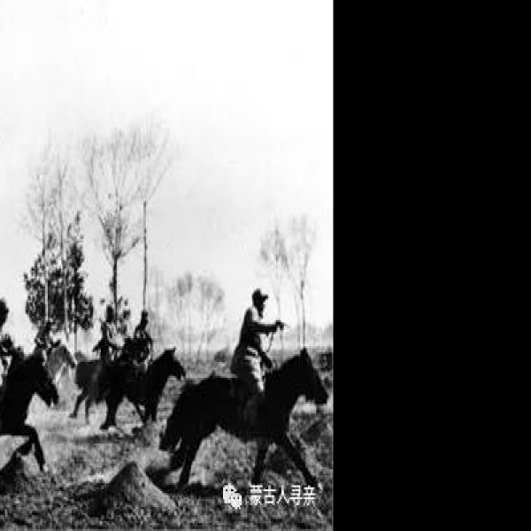阿鲁科尔沁旗辽墓群 - 图片2