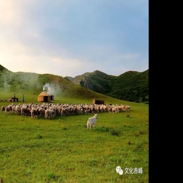 阿鲁科尔沁旗辽墓群 - 图片3