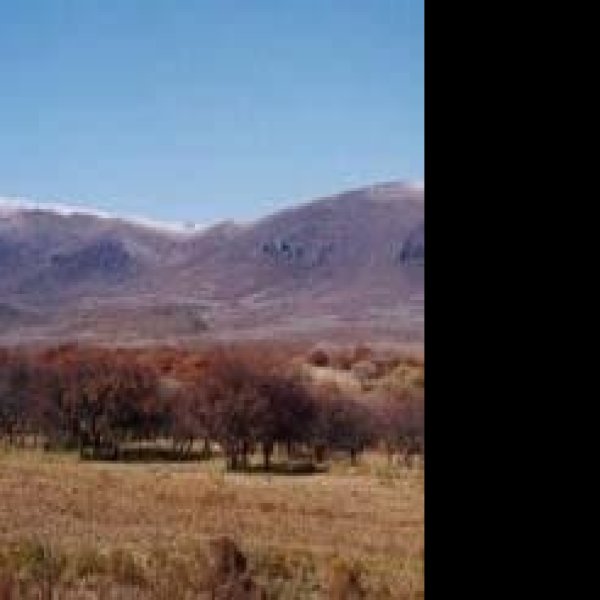 宝山、罕苏木墓群 - 图片1
