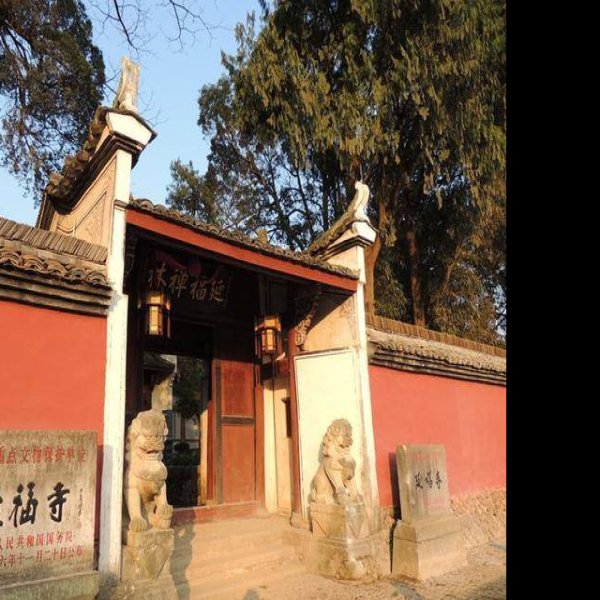 延福寺 - 图片9