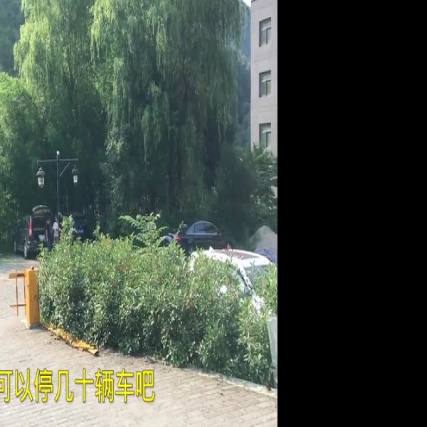 西岔沟遗址 - 图片3