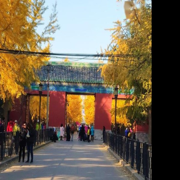 嘉靖地坛 - 图片7