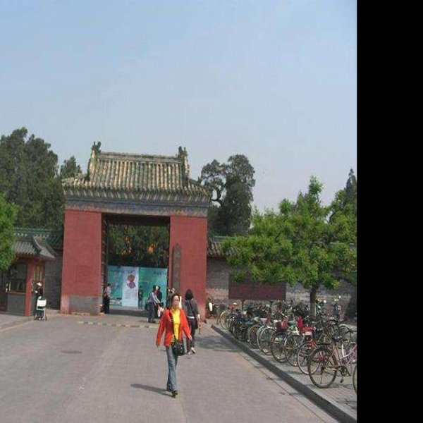 嘉靖地坛 - 图片8