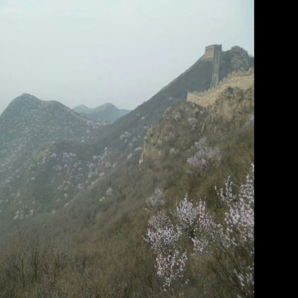 石峡关长城 - 图片1